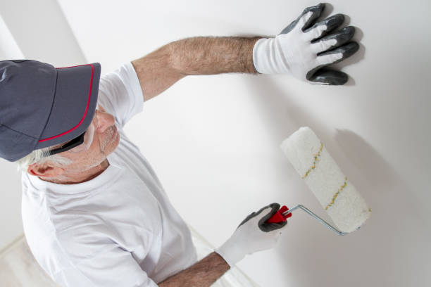 Best Mold Prevention Services  in Plentywood, MT