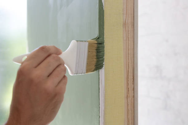 Best Basement Mold Removal  in Plentywood, MT