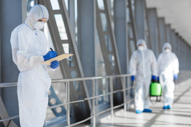 Best Mold Documentation for Insurance Claims  in Plentywood, MT