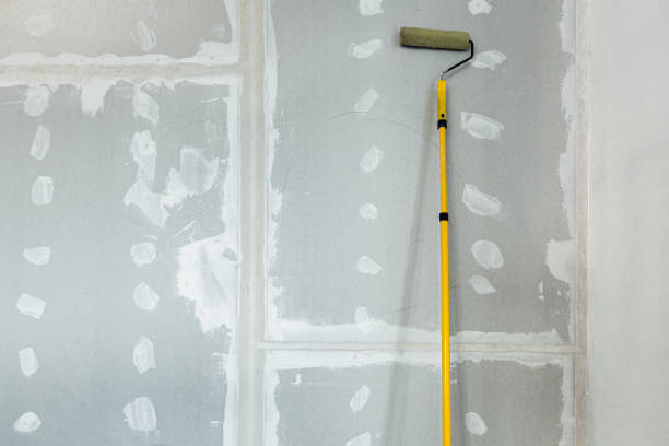 Best Biohazard Mold Removal  in Plentywood, MT