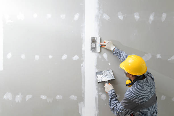 Best Air Quality Testing for Mold Spores  in Plentywood, MT