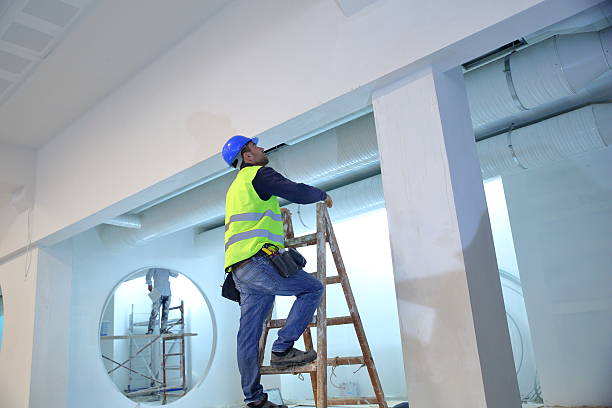  Plentywood, MT Mold Removal Pros