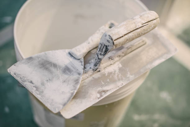 Best Residential Mold Inspection & Testing  in Plentywood, MT