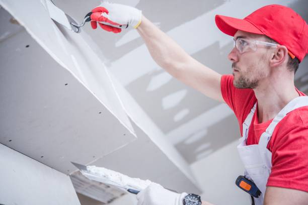 Best Black Mold Removal  in Plentywood, MT